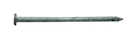 Pro-Fit 3-1/4 in. Common Hot-Dipped Galvanized Steel Nail Flat Head 1 lb