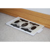 Big H Products Spider Trap 3.2 oz. (Pack of 12)