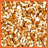 Cole's Cajun Cardinal Wild Bird Food 5 lb