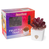 JT Eaton ZendoZones Fruit Fly Trap 1 box (Pack of 6)