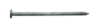 Pro-Fit 2 in. Common Hot-Dipped Galvanized Steel Nail Flat Head 1 lb