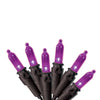 Celebrations Purple 50 ct LED String Lights