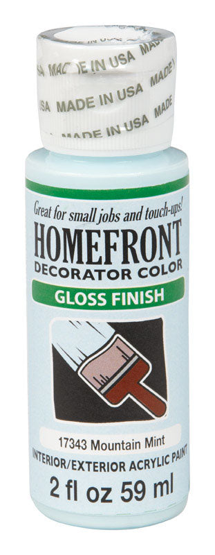Homefront Gloss Mountain Mint Hobby Paint 2 oz. (Pack of 3)