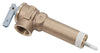 Reliance 3/4 in. MNPT Brass Relief Valve 1 pc - Deal of The Week