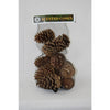 Winter Woods Cinnamon Scented Cones 14 pk (Pack of 10)