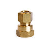 3/8 in. Compression X 3/8 in. D FPT Brass Coupling (Pack of 5)