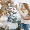 Scentsicles White Winter Fir Scent Scented Ornament 0.9 Solid (Pack of 12)