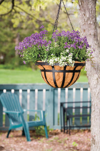 Living Accents Steel Hanging Basket Black