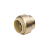 B&K Proline Push to Connect 3/4 in. PTC Brass Cap