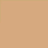 Rust-Oleum Painter's Touch Ultra Cover Gloss Khaki Spray Paint 12 oz.