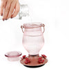 Perky-Pet Hummingbird 24 oz Glass/Plastic Nectar Feeder 5 ports (Pack of 2)