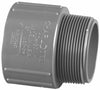 Charlotte Pipe 1/2 in. Slip X 1/2 in. D MPT PVC Adapter 1 pk