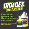 Moldex Mold Killer No Scent Disinfectant Spray 32 oz.