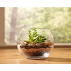 Mosser Lee River Pebbles Assorted Stone Vase Filler 5 Lb.