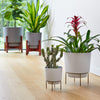 Bloem Hopson 12 in. H x 10 in. Dia. Resin Metal Stand Planter White