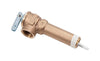 Reliance 3/4 in. MNPT Brass Relief Valve 1 pc