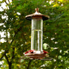 Perky-Pet Hummingbird 12 oz. Copper/Glass Nectar Feeder 4 ports (Pack of 2) - Deal of The Week