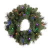 Celebrations Platinum 26 in. D LED Prelit Multicolored Mixed Pine Wreath