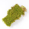 Mosser Lee Organic Green Sheet Moss 325 sq in