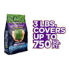 Pennington Smart Seed Mixed Dense Shade Grass Seed and Fertilizer 3 lb
