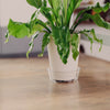 Curtis Wagner Plastics Everspring 3.25 in. H X 13 in. D Vinyl Plant Saucer Clear (Pack of 25)