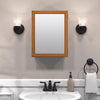 Zenna Home 19.25 in. H X 15.5 in. W X 4.5 in. D Rectangle Medicine Cabinet/Mirror
