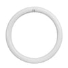 Feit Plug & Play T9 Cool White 12 in. G10Q Circular LED Bulb 32 Watt Equivalence 1 pk