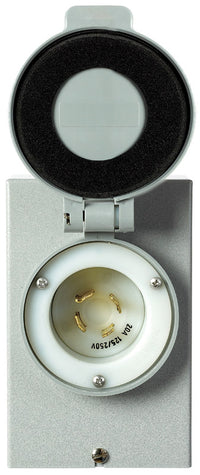 Reliance Controls 20 amps 125/250 V 1 space 4 circuits Surface Mount Power Inlet Box - Deal of The Week