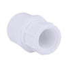 Charlotte Pipe Schedule 40 3/4 in. Slip x 1/2 in. Dia. FPT PVC Pipe Adapter (Pack of 25)