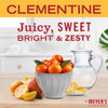 Mrs. Meyer's Clean Day Clementine Scent Multi-Surface Cleaner Liquid 16 fl. oz. (Pack of 6)