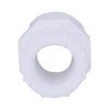 Charlotte Pipe Schedule 40 3/4 in. Slip x 1/2 in. Dia. FPT PVC Pipe Adapter (Pack of 25)