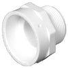 Charlotte Pipe Schedule 40 1-1/4 in. MPT X 1-1/4 in. D Hub PVC Pipe Adapter 1 pk