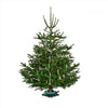 Krinner Green Steel 8 H ft. Christmas Tree Stand 1 gal. Reservoir Capacity