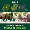Ortho GroundClear Grass and Weed Killer RTU Liquid 24 oz.