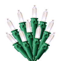 Celebrations Blue LED Mini Warm White 100 ct String Christmas Lights 24.5 ft. (Pack of 12)