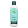 Jason Natural Products - Shampoo Tea Tree Purifying - 1 Each 1-12 FZ