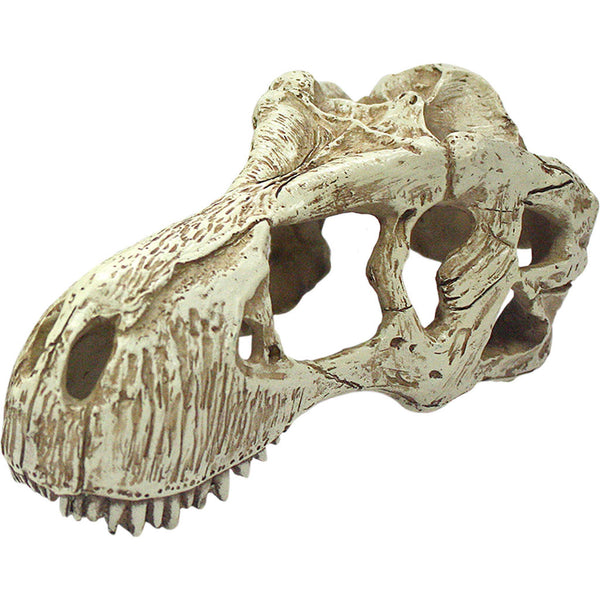 Komodo T-Rex Skull - Deal of The Week