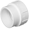 Charlotte Pipe Schedule 40 2 in. Spigot X 2 in. D FPT PVC Adapter 1 pk