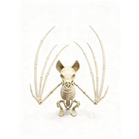 Decra Lite Skeleton Bat Halloween Decor (Pack of 6)