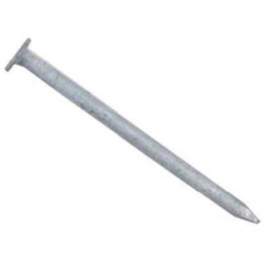 Stallion No. 4 1-1/2 in. Common Hot-Dipped Galvanized Steel Nail Flat Head 5 lb