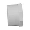 Charlotte Pipe Schedule 40 2 in. Slip X 1-1/2 in. D Slip PVC Reducing Bushing 1 pk