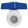 Homewerks 2 in. PVC FIP Ball Valve Full Port Quarter-Turn Lever For Non-Potable Water