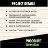 Woodlife CopperCoat Green Water-Based Wood Preservative 1 qt.