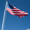 Valley Forge American Flag 60 in. H X 96 in. W
