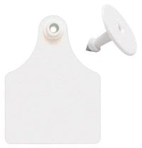 Ear Tag Blank