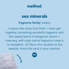 Method Sea Minerals Scent Antibacterial Gel Hand Wash 34 oz (Pack of 4)