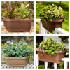 Bloem 24 in. H x 24 in. W Resin Deck rail Deck Rail Planter Terracotta Clay (Pack of 10) - Deal of The Week