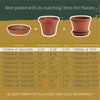 Bloem Terra 13 in. D Resin Tray Charcoal