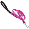 Lupine Pet Original Designs Multicolor Puppy Love Nylon Dog Leash