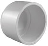 Charlotte Pipe Schedule 40 PVC Cap (Pack of 25)